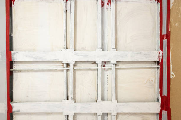 Ayden, NC Mold Removal Company