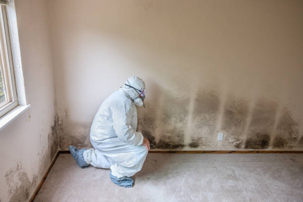 Best Forensic Mold Investigation  in Ayden, NC